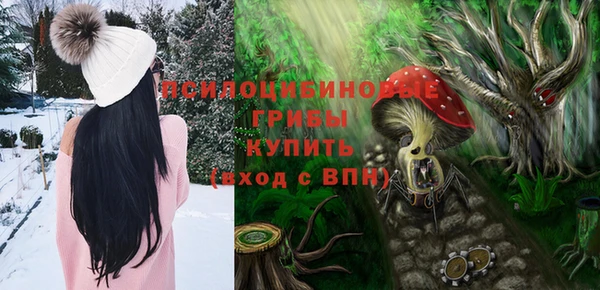 герыч Коряжма