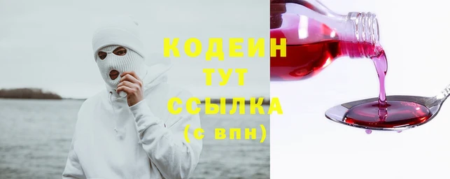 мдпв Кодинск