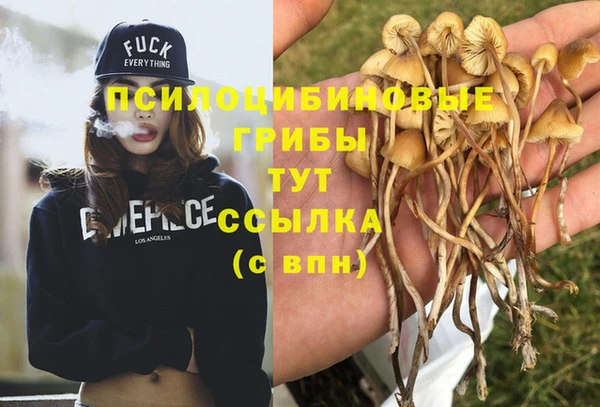 эйфоретик Корсаков