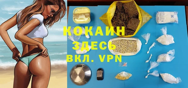 мдпв Кодинск