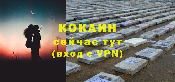мдпв Кодинск