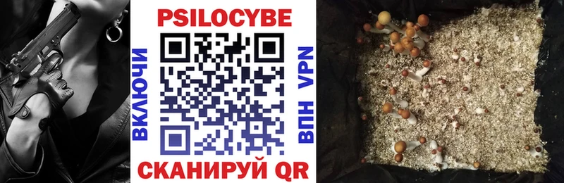 Купить где  Билибино  Псилоцибиновые грибы GOLDEN TEACHER 